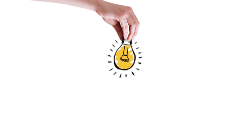 Hand Holding Bulb Vector on Transparent Background