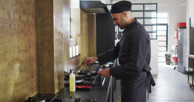 Professional Chef Preparing Meal in Industrial Kitchen - Download Free Stock Images Pikwizard.com