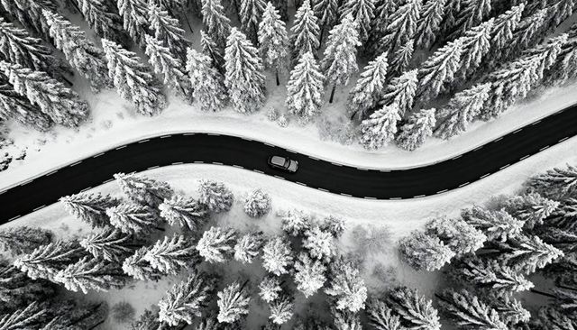 Aerial driving along winding winter road cutting through snow-covered evergreen forest