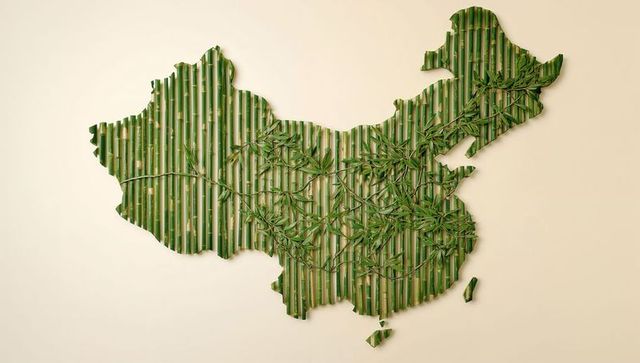 Bamboo Map of China with Green Leaves on Pale Wall