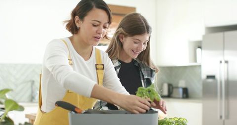 Women planting indoor herb garden on kitchen counter sharing urban home gardening joy