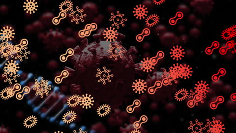 Visual Representation of Viruses with DNA Strand