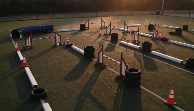 Dog agility course on turf at sunset featuring jumps tunnel cones tires for training