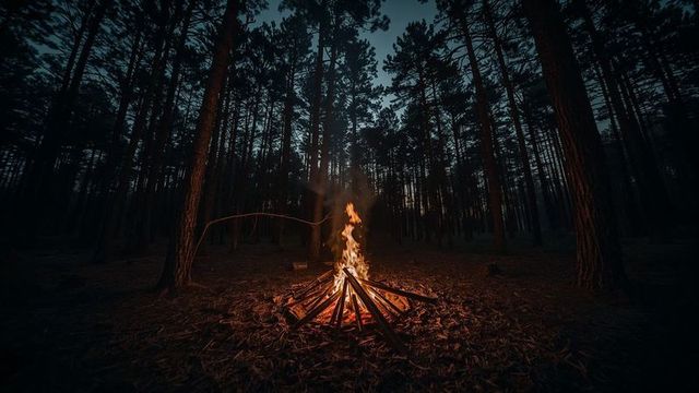 Campfire Blazing Amid Tranquil Pine Forest at Dusk