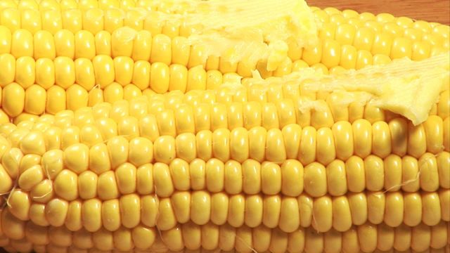 Appealling to food enthusiasts and culinary content creators, this image showcases buttered corn on the cob in close-up detail, emphasizing its bright grained texture and captivating natural colors. Apt for use in recipes, agriculture material, nutrition guides, and food-related advertising materials.