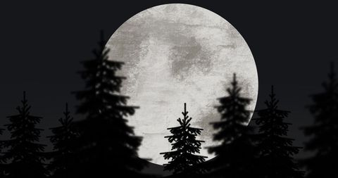 Silhouette of Santa's Sleigh with Reindeer Against Full Moon