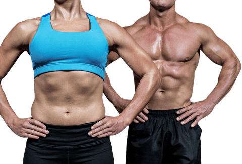 Muscular Torso Trio with Transparent Background