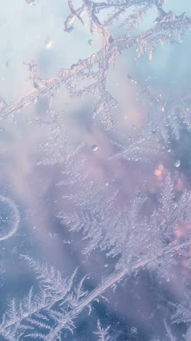 Vertical macro video of frost crystals and water droplets shimmering on glass with pastel light