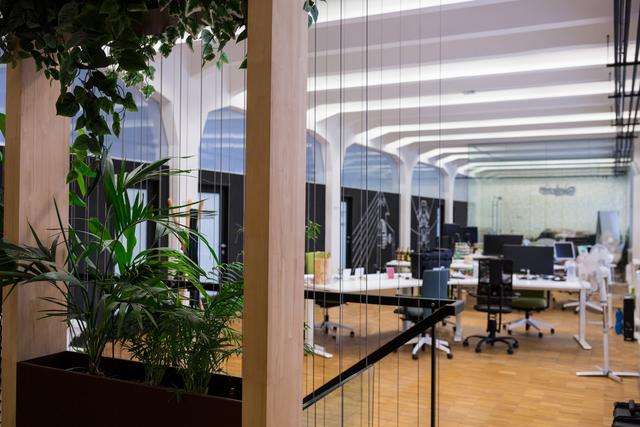This image showcases a modern open office space with indoor plants, creating a fresh and inviting work environment. Ideal for illustrating articles on contemporary office design, workplace productivity, or corporate culture. Suitable for use in business presentations, office decor inspiration, and promotional materials for office furniture or interior design services.