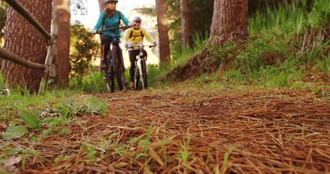 Middle-Aged Men Cycling through Serene Forest Trail for Fitness - Download Free Stock Images Pikwizard.com