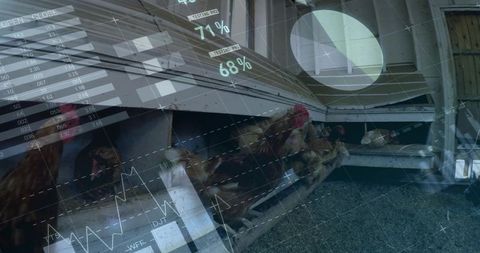 Perching brown hens lining nesting rail in wooden coop with agricultural analytics overlay