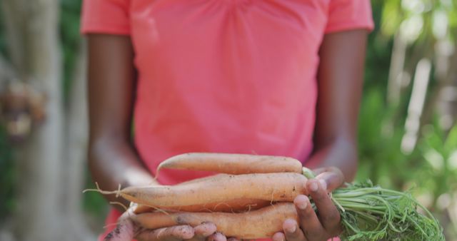 Midsection of african american woman holding carrots in garden. Lifestyle, gardening, nature, hobby and domestic life.