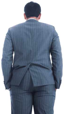 Back of Biracial Businessman in Pinstripe Suit on Transparent Background