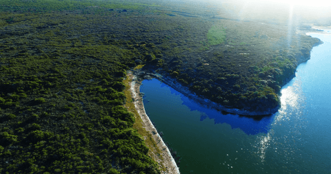 drone view of coastal landscape with sunlight on water's surface - Download Free Stock Videos Pikwizard.com