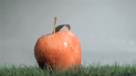Fresh Red Apple with Water Droplets on Grass