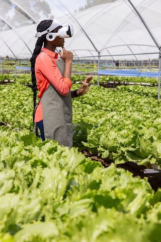 Woman uses vr in greenhouse to promote sustainable farming practices