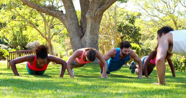 Group Doing Push Ups Outdoors in Park - Download Free Stock Images Pikwizard.com