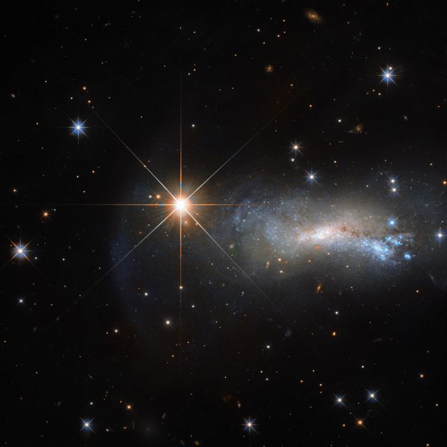 In space, being outshone is an occupational hazard. This NASA/ESA Hubble Space Telescope image captures a galaxy named NGC 7250. Despite being remarkable in its own right — it has bright bursts of star formation and recorded supernova explosions— it blends into the background somewhat thanks to the gloriously bright star hogging the limelight next to it.  The bright object seen in this Hubble image is a single and little-studied star named TYC 3203-450-1, located in the constellation of Lacerta (The Lizard). The star is much closer than the much more distant galaxy.  Only this way can a normal star outshine an entire galaxy, consisting of billions of stars. Astronomers studying distant objects call these stars “foreground stars” and they are often not very happy about them, as their bright light is contaminating the faint light from the more distant and interesting objects they actually want to study.  In this case, TYC 3203-450-1 is million times closer than NGC 7250, which lies more than 45 million light-years away from us.  If the star were the same distance from us as NGC 7250, it would hardly be visible in this image.  Credit: ESA/Hubble &amp; NASA   <b><a href="http://www.nasa.gov/audience/formedia/features/MP_Photo_Guidelines.html" rel="nofollow">NASA image use policy.</a></b>  <b><a href="http://www.nasa.gov/centers/goddard/home/index.html" rel="nofollow">NASA Goddard Space Flight Center</a></b> enables NASA’s mission through four scientific endeavors: Earth Science, Heliophysics, Solar System Exploration, and Astrophysics. Goddard plays a leading role in NASA’s accomplishments by contributing compelling scientific knowledge to advance the Agency’s mission.  <b>Follow us on <a href="http://twitter.com/NASAGoddardPix" rel="nofollow">Twitter</a></b>  <b>Like us on <a href="http://www.facebook.com/pages/Greenbelt-MD/NASA-Goddard/395013845897?ref=tsd" rel="nofollow">Facebook</a></b>  <b>Find us on <a href="http://instagrid.me/nasagoddard/?vm=grid" rel="nofollow">Instagram</a></b>   