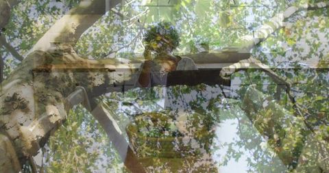 Senior African American Woman Sitting at Piano by Window with Tree Canopy Overlay