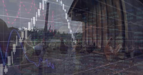 Financial Data Overlay on Rustic Farmyard Scenery