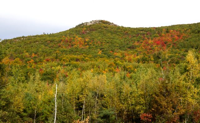 This image shows a vibrant autumn landscape featuring a forested hill with trees displaying a range of fall colors from green to red and yellow. It illustrates the beauty of nature during autumn. Ideal for use in seasonal promotions, travel advertisements, nature publications, and outdoor adventure marketing materials.