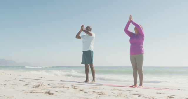 Seniors Practicing Yoga on Beach - Download Free Stock Images Pikwizard.com