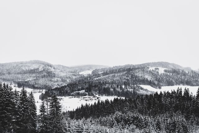 Grayscale Photo of Foggy Covered Forest Mountain - Download Free Stock Photos Pikwizard.com