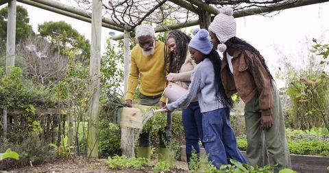 Multigenerational african american family gardening under pergola, child watering herbs