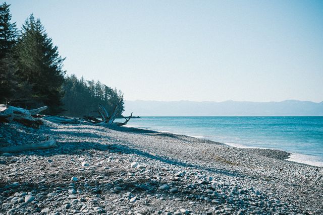 Pebble beach with driftwood stretching along the shoreline, calm blue water, and a clear sky. Mountains are faint in the distance under the sunlight. Ideal for promoting outdoor activities, coastal landscapes, nature retreats, and travel guides.