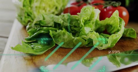 Macro closeup of butterhead lettuce showing vein texture and moisture with hud scan overlay