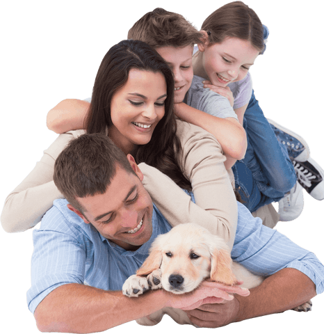 transparent happy family smiling with puppy in pile - Download Free Stock Videos Pikwizard.com