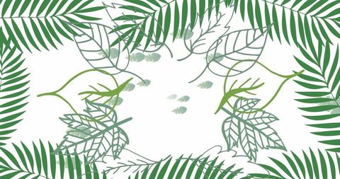 Botanical frame design with green stylized leaf illustrations