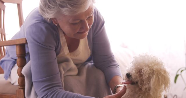 Elderly woman sits on chair in cozy interior, interacting with her playful white poodle dog. Suitable for topics like pet companionship for seniors, promoting pet care, elderly well-being, domestic life, and animal interaction. Ideal for blogs, social media posts on senior lifestyle, pet care, and caregiving.