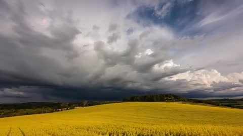 Timelapse of Golden Crop Field Under Approaching Storm Clouds