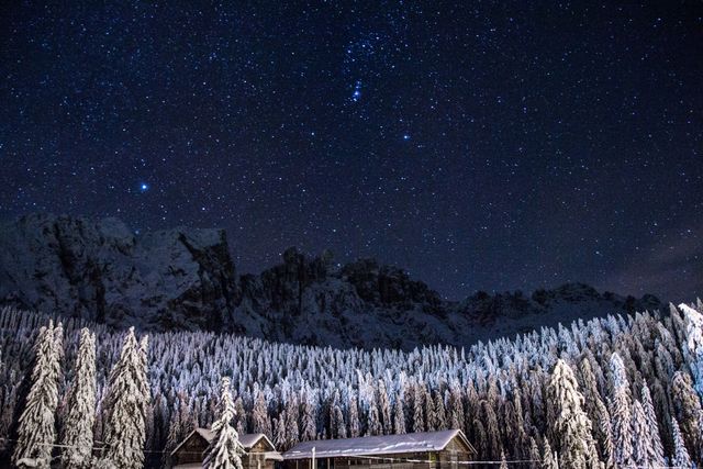 Beautiful view of   shining stars in the night sky over winter landscape. Nature and winter season concept