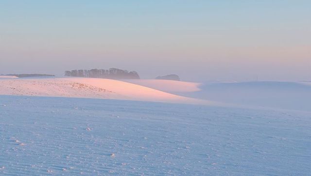 Sunrise glowing on snowy dunes bathing pastel tundra with pink highlights and distant trees