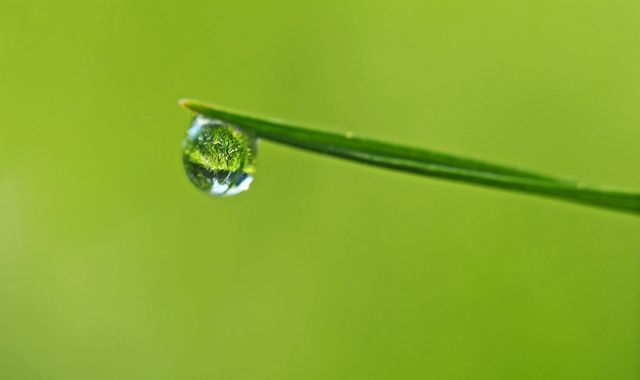 Droplet on green leaf reflecting nature's scenery, captured in detail. Ideal for articles on purity, freshness, and ecological balance. Suitable for nature-themed web pages, environmental campaigns, and wellness blogs.