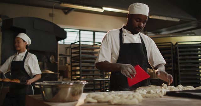 Male Baker Preparing Dough in Bakery Kitchen - Download Free Stock Images Pikwizard.com