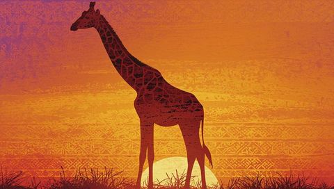 Giraffe silhouette on desert skyline with tribal patterns