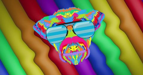 Colorful Rainbow Dog Face with Sunglasses on Wave Pattern - Download Free Stock Images Pikwizard.com
