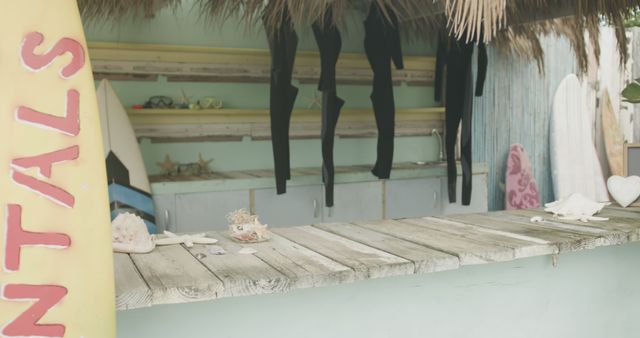 Empty surf shop with surf suits, surfboard and palm leaves on beach - Download Free Stock Photos Pikwizard.com