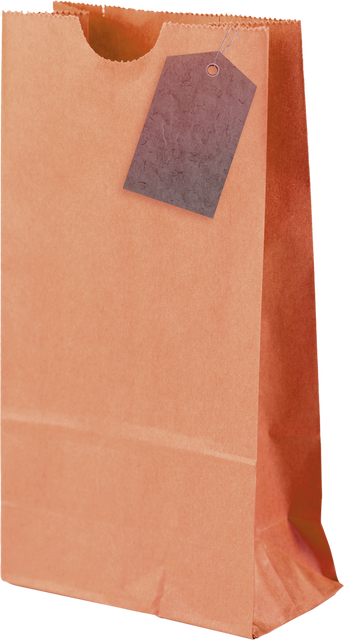 Transparent Brown Paper Bag with Blank Attached Price Tag, Isolated on White Background - Download Free Stock Videos Pikwizard.com