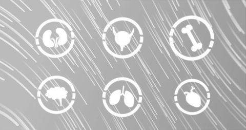 Science Icons Representing Human Organ Systems with Grey Background - Download Free Stock Images Pikwizard.com