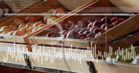 Data analytics and digital insights in grocery retail