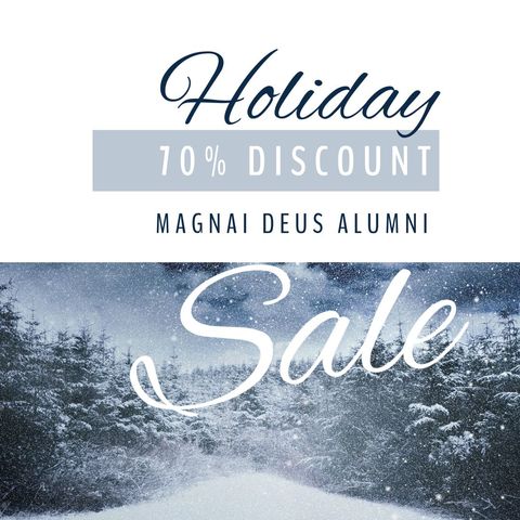 Winter Wonderland Holiday Sale Promotion with Snowy Landscape - Download Free Stock Templates Pikwizard.com