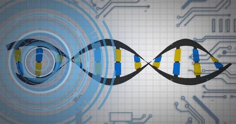 Digital dna data and gene sequencing technology