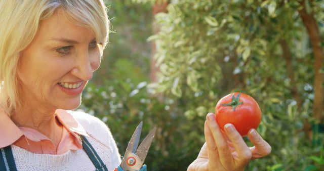 Woman enjoying garden, holding freshly picked tomato and gardening shears, smiling joyfully. Ideal for lifestyle, gardening, sustainability, healthy living, and organic farming themes.