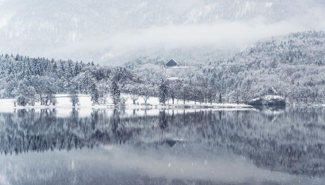 Image shows a serene winter landscape with a snowy forest reflected in a calm lake. Mist is present near the mountains, enhancing the tranquil atmosphere. Perfect for use in promotional material for winter tourism, calendars, holiday cards, and tranquil nature scenes.