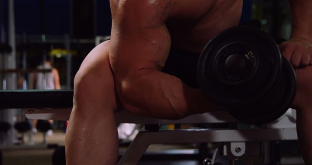 Bodybuilder Doing Bicep Curls with Dumbbells in Gym - Download Free Stock Images Pikwizard.com