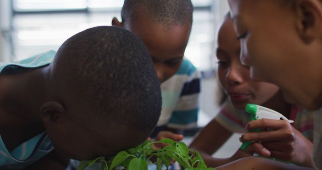 Curious African Children Growing Plants Together Enthusiastically - Download Free Stock Images Pikwizard.com